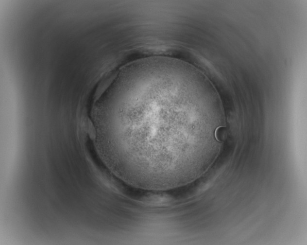 X0000115770642200911201219