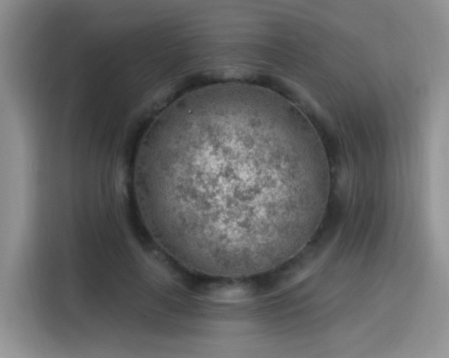 X0000115770643200911201219