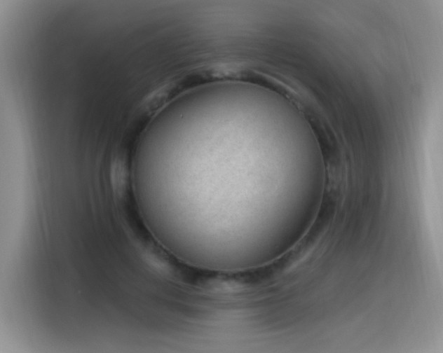 X0000115770648200911201219