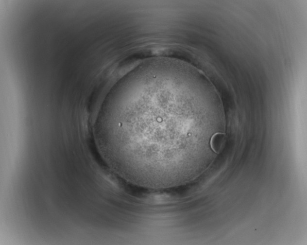 X0000115770650200911201219