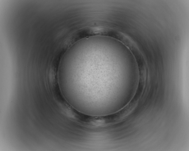 X0000115770653200911201219