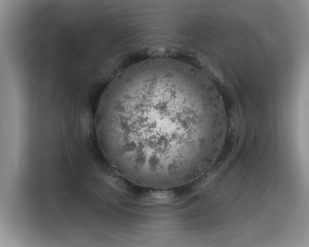 X0000115770659200911201219
