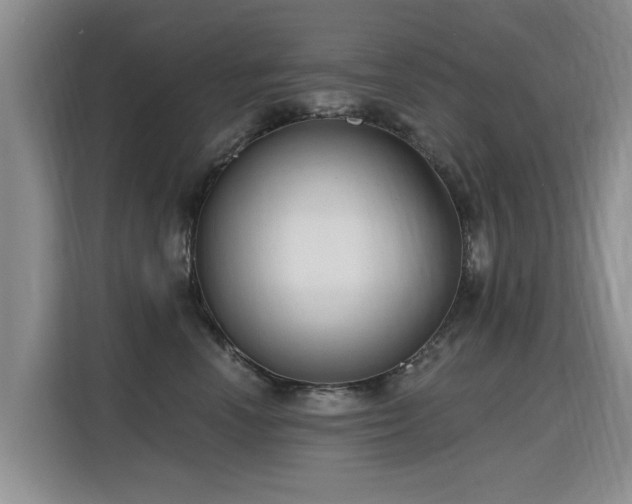 X0000115770666200911201219