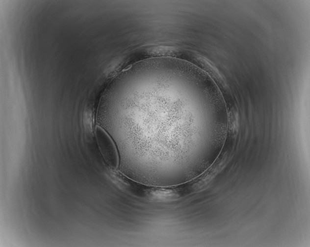 X0000115770669200911201219