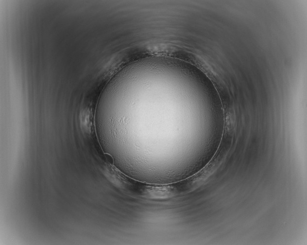 X0000115770671200911201219