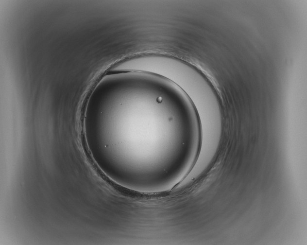 X0000115770673200911201219