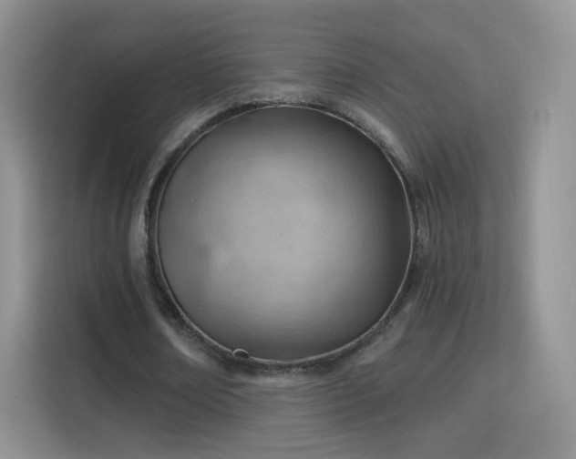 X0000115770674200911201219