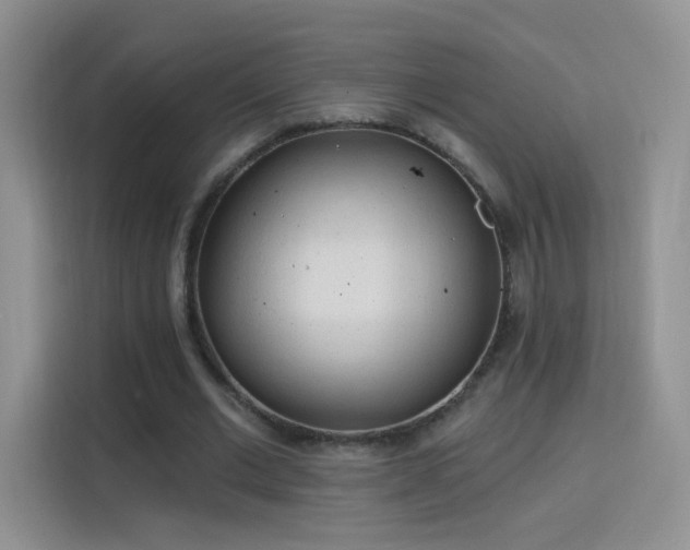 X0000115770677200911201219