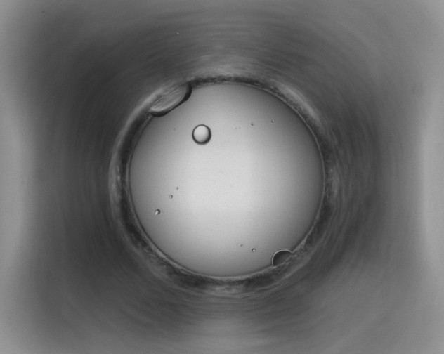 X0000115770680200911201219