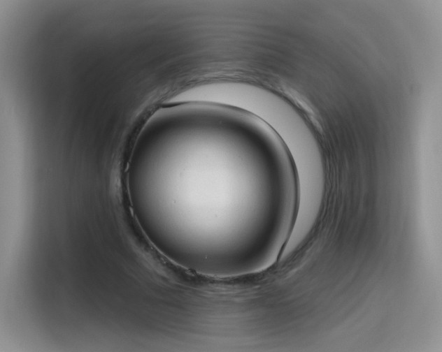 X0000115770681200911201219
