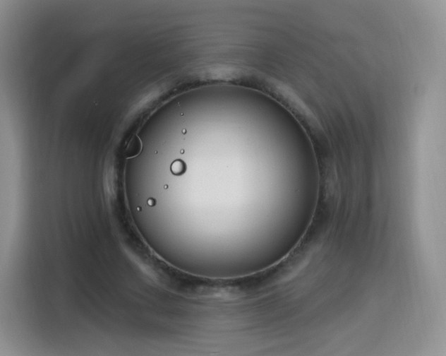 X0000115770683200911201219