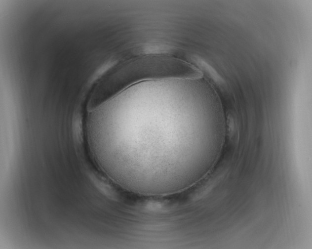 X0000115770684200911201219