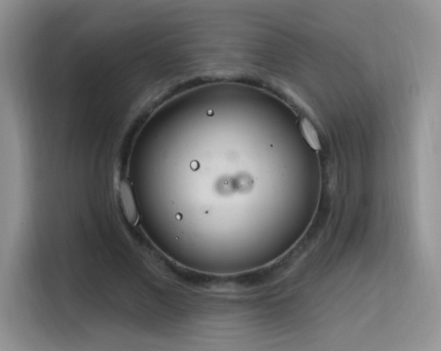 X0000115770685200911201219