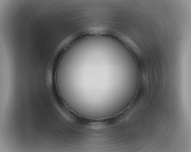 X0000115770686200911201219