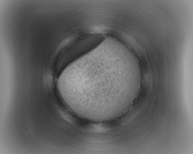 X0000115770688200911201219