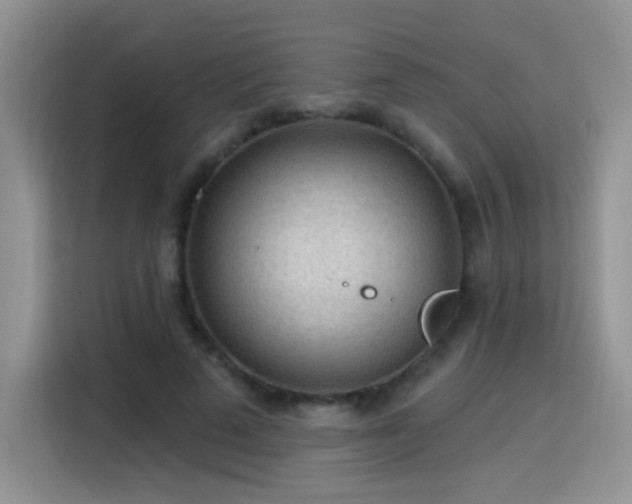 X0000115770689200911201219