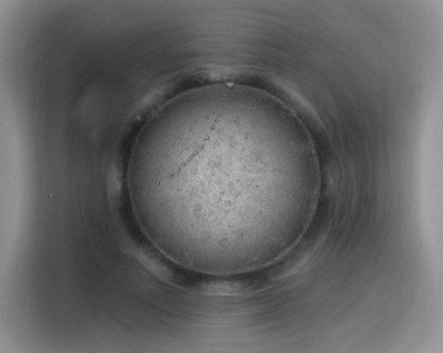 X0000115770691200911201219