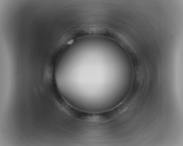 X0000115770695200911201219