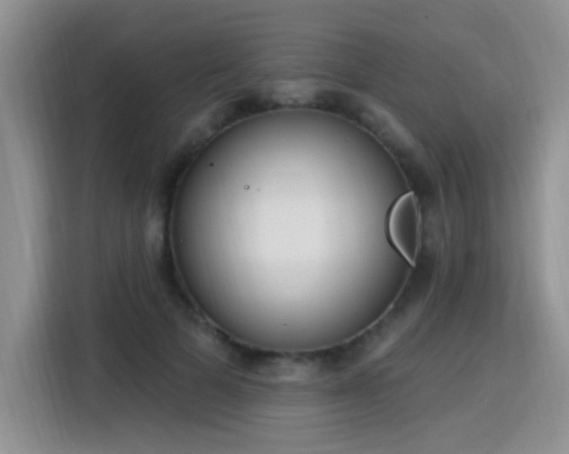 X0000115770697200911201219