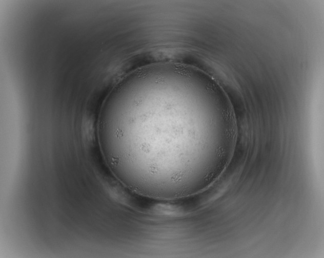 X0000115770699200911201219