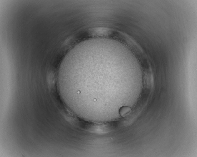 X0000115770701200911201219