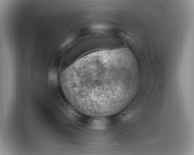 X0000115770720200911201218