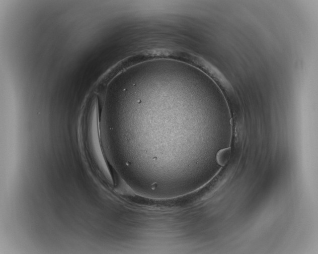 X0000115770722200911201218