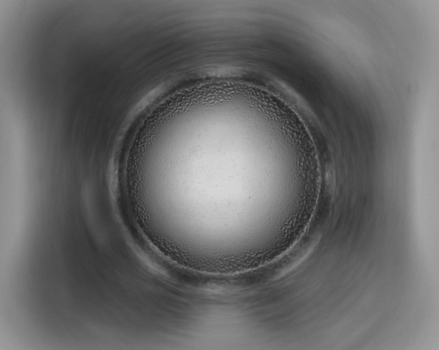 X0000115770725200911201218
