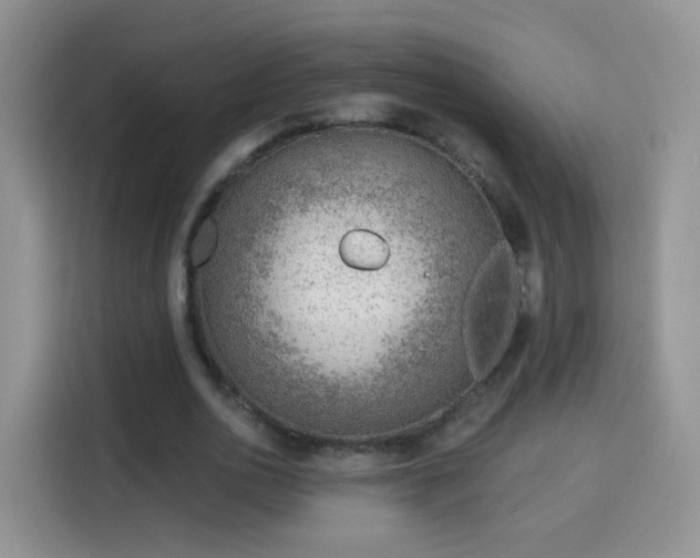 X0000115770726200911201218