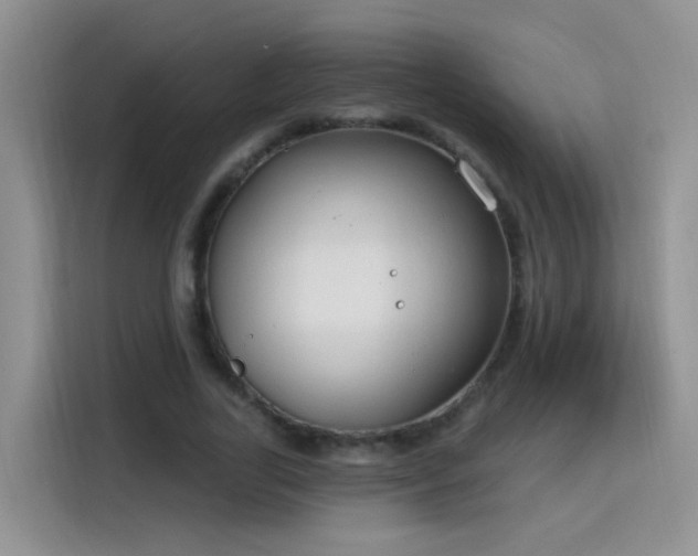 X0000115770731200911201218