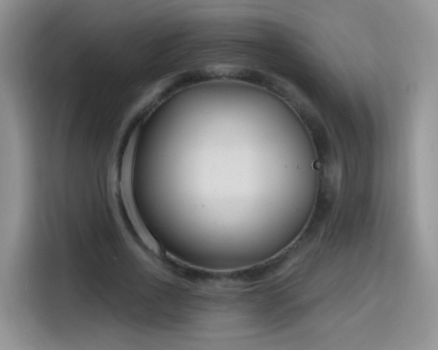 X0000115770734200911201218