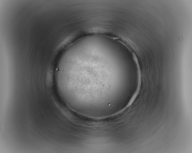 X0000115770735200911201218
