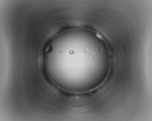 X0000115770739200911201218