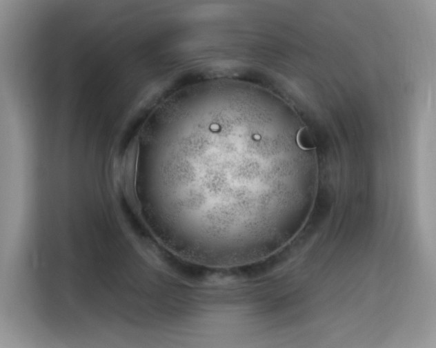 X0000115770742200911201218