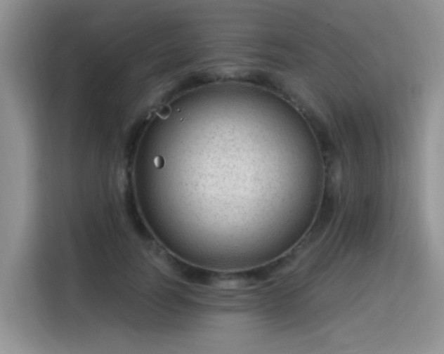 X0000115770746200911201218