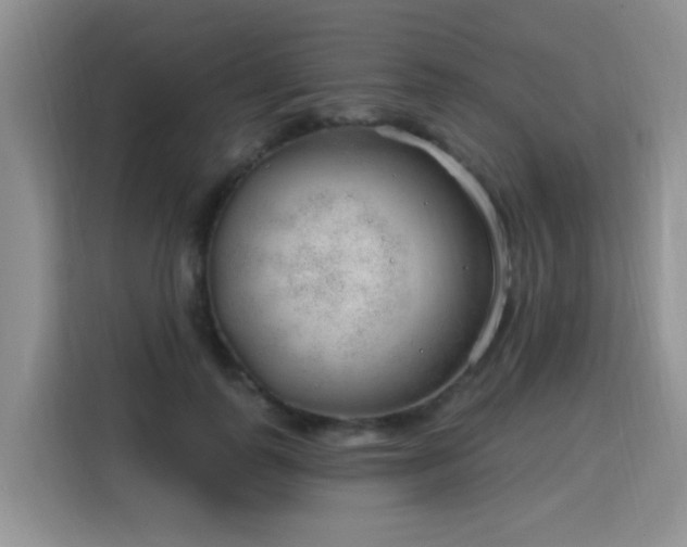 X0000115770747200911201218