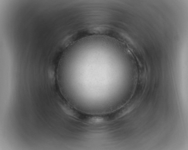 X0000115770749200911201218
