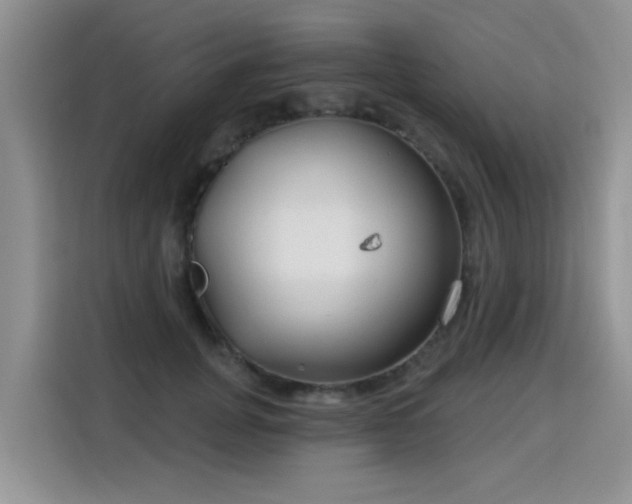 X0000115770751200911201218