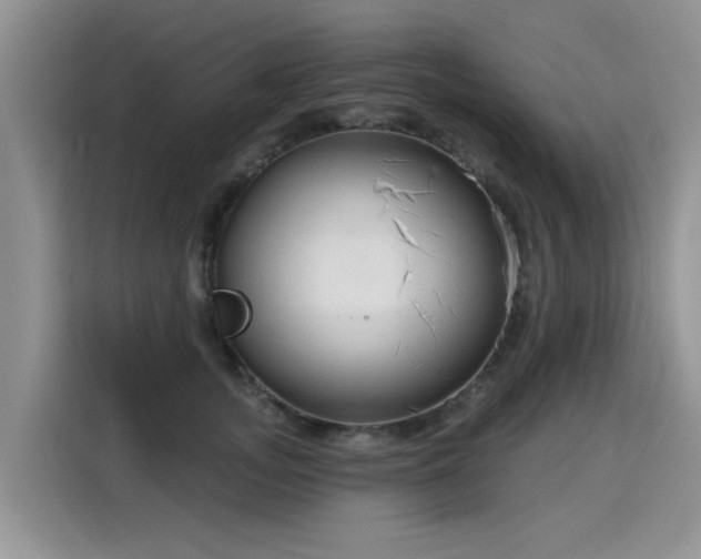 X0000115770755200911201218