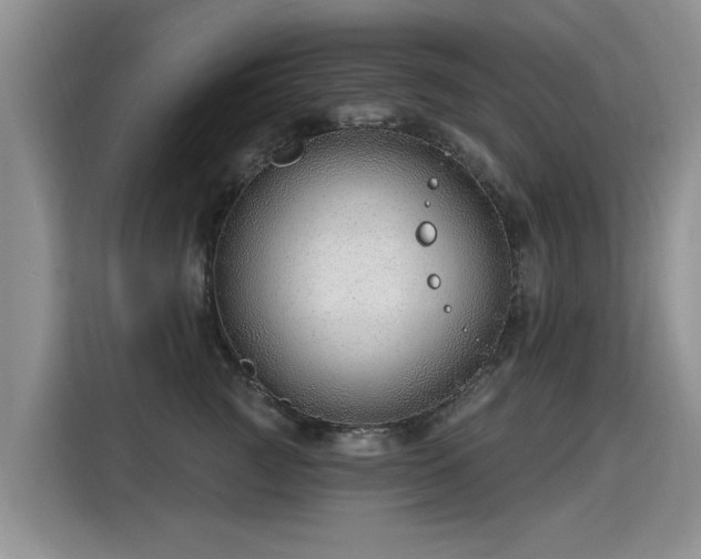 X0000115770761200911201218