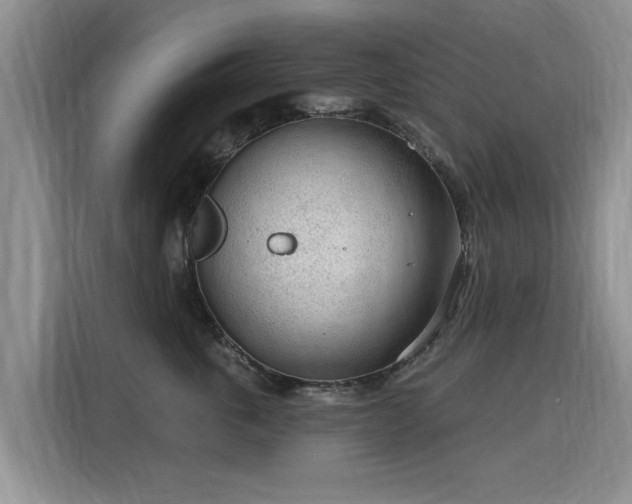 X0000115770763200911201218