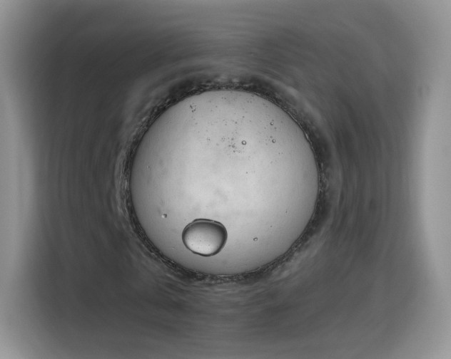 X0000115770769200911201218