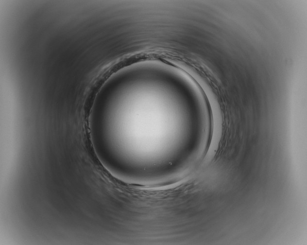X0000115770773200911201218