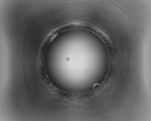 X0000115770776200911201218