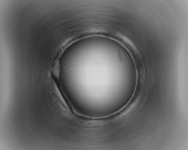 X0000115770777200911201218