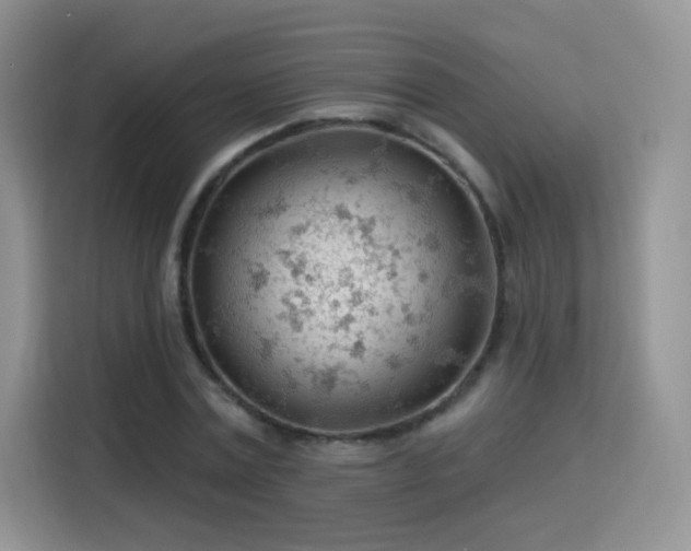 X0000115770779200911201217