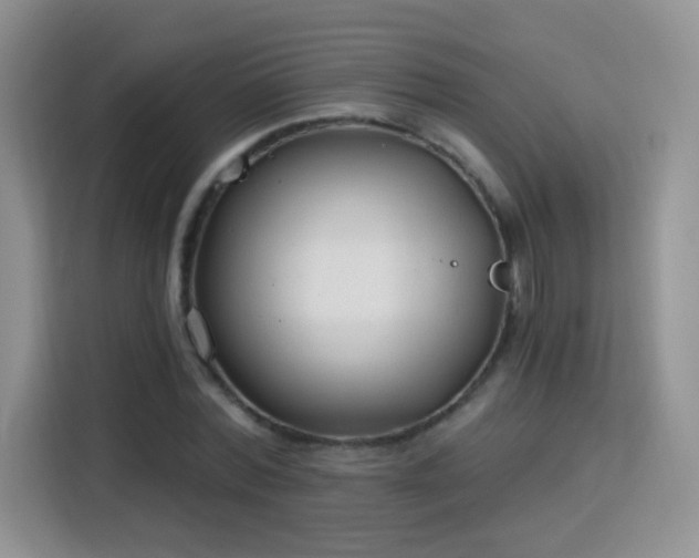 X0000115770780200911201217