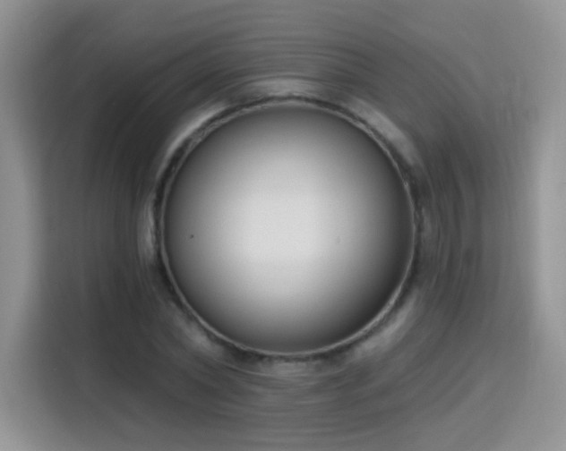 X0000115770782200911201217