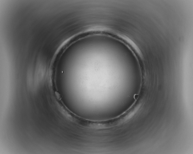 X0000115770783200911201217