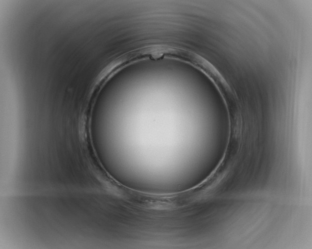 X0000115770786200911201217